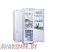 Аренда холодильника Бирюса 130 в Минске