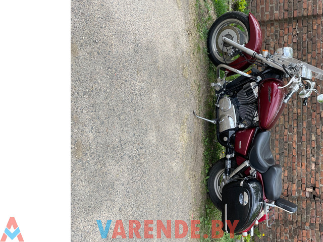Аренда( прокат) мотоцикла Honda Shadow VT1100 в Минске. - 2/3