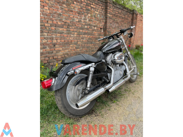Аренда( прокат) мотоцикла Harley Davidson Sportster 883 Custom в Минске. - 1/3