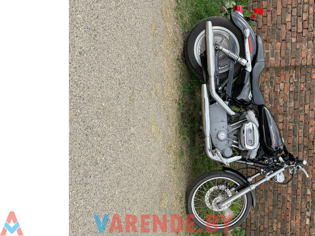 Аренда( прокат) мотоцикла Harley Davidson Sportster 883 Custom в Минске. - 2/3